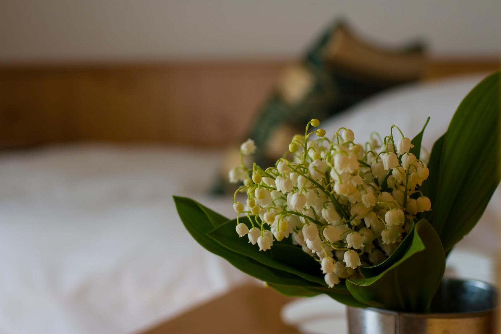 Hotel Chalet All'Imperatore 마돈나 디 캄필리오 객실 사진